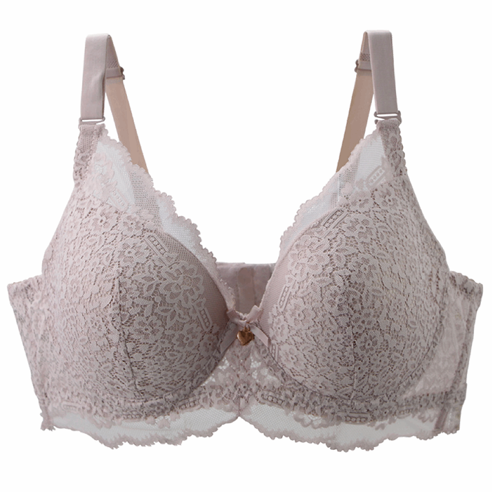 Lace Floral Bow Bras Elegant Lace Spandex Bra